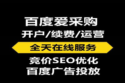深度解析：百度竞价代理的优化策略与成功案例